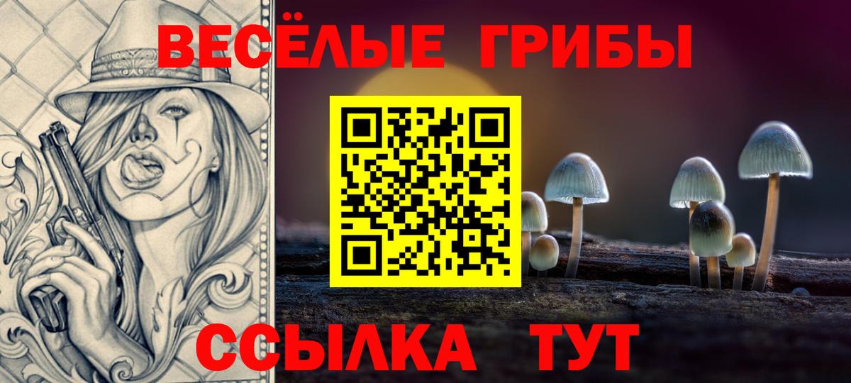 Галлюциногенные грибы GOLDEN TEACHER  где можно купить наркотик  Великие Луки  Вход с VPN 